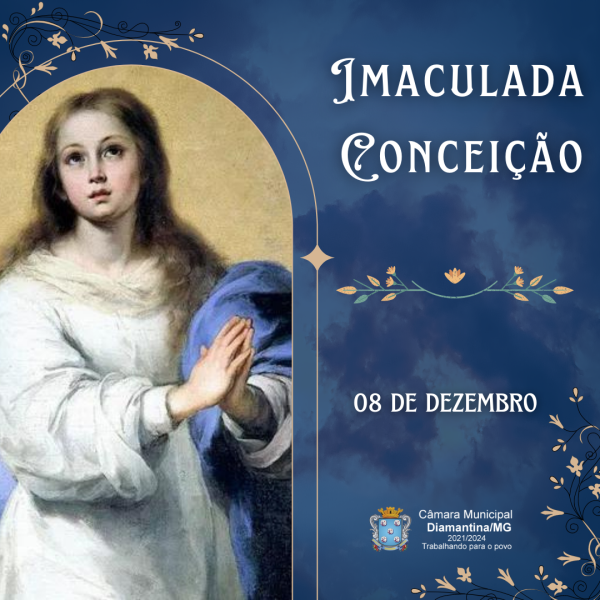 08 DE DEZEMBRO –DIA DA IMACULADA CONCEIÇÃO!